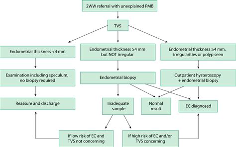 pathophysiology of endometrial cancer pdf